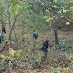 Почистват ореховата гора в парка „Боровец“ край Търговище