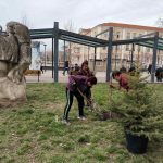 Засаждат нови иглолистни дръвчета на територията на град Търговище