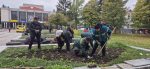 Над 30 000 стръка нови цветя ще красят Търговище през есенно-зимния сезон