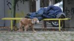 Община Търговище е в готовност да осигури подслон на бездомни през есенния и зимния сезон
