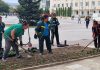 Обявяват конкурс за директор на Общинското предприятие „Флора“