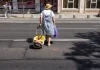 48 глоби за пешеходци в област Търговище