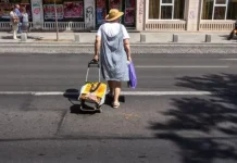 48 глоби за пешеходци в област Търговище