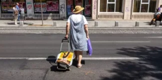 48 глоби за пешеходци в област Търговище
